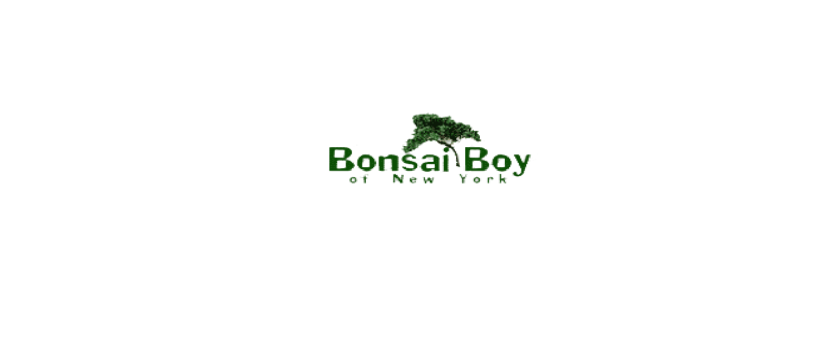Bonsai Boy Discount Code 2025