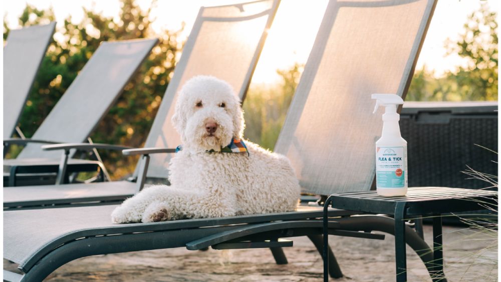 Wondercide Review : Natural Pest Protection for a Happy Home (and Planet!)