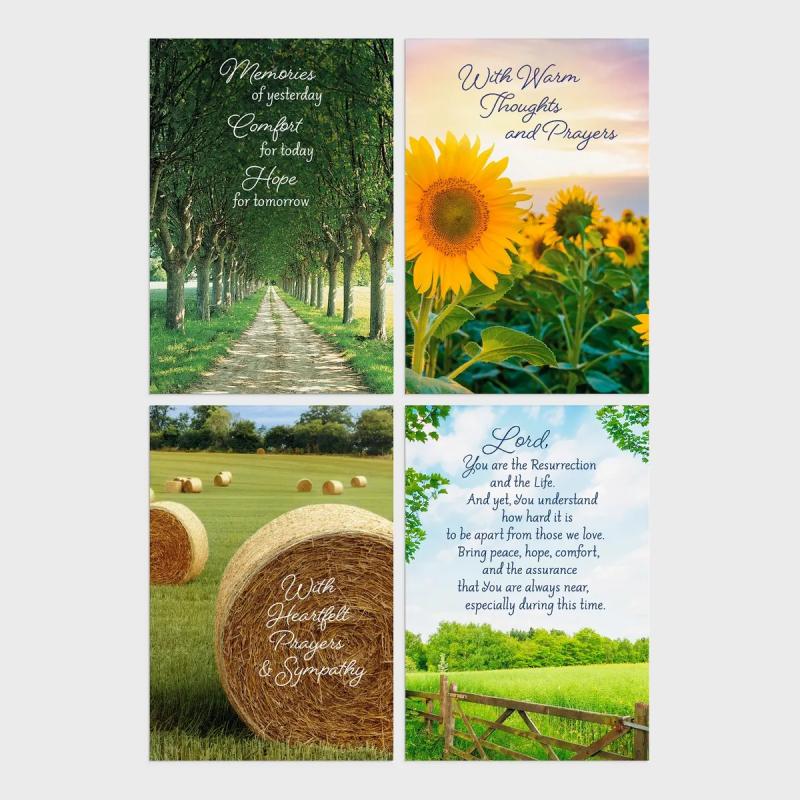 DaySpring Boxed Cards and Envelopes