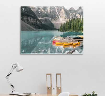 Canvas Champ Acrylic prints