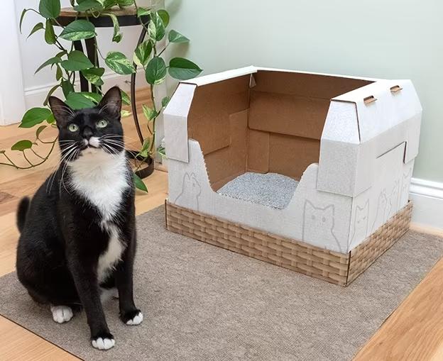 Disposable Cat Litter Boxes