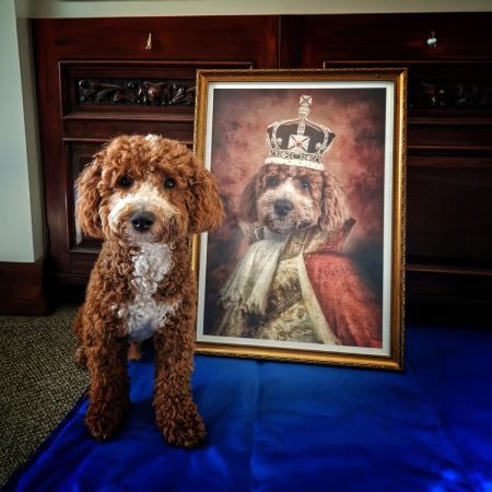 Purr and Mutt Custom Vintage Pet Portrait