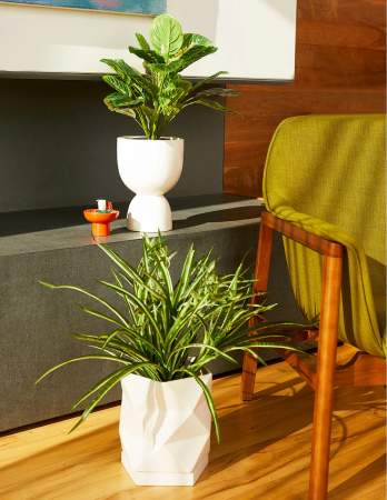 The Sill Faux Spider Plant