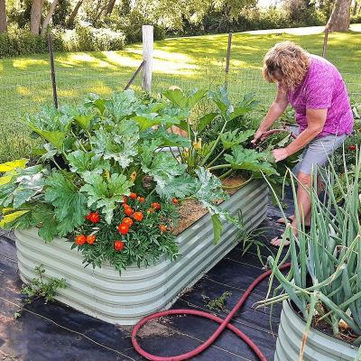 Vegega Garden Beds