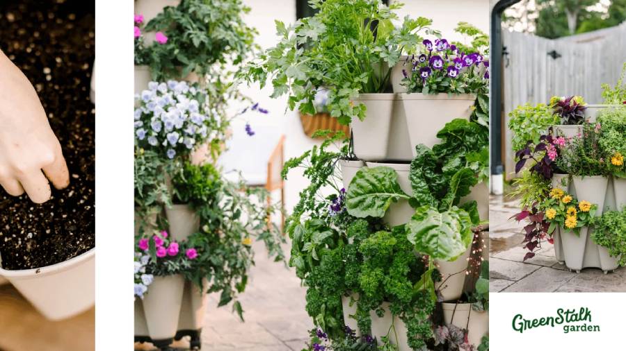 GreenStalk Garden Review: Vertical Gardening Ideas for Home Gardens