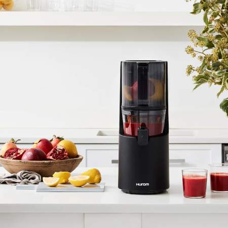 Hurom H200 Easy Clean Slow Juicer