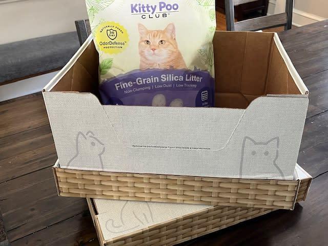 Kitty Poo Club review 2024