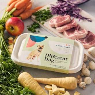 Different Dog Lamb Hotpot