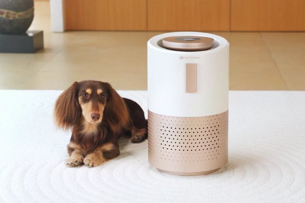 Petsnowy Pet Air Purifier