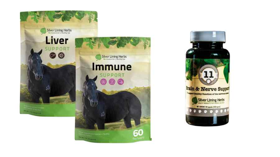Finding Your Pet's Wellness: A Look into Silver Lining Herbs