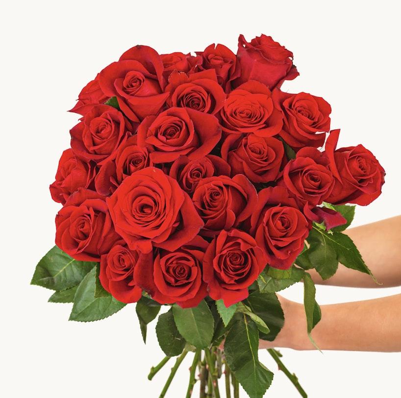 BloomsyBox Splendid Red Roses