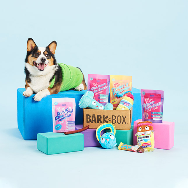 how does bark box work