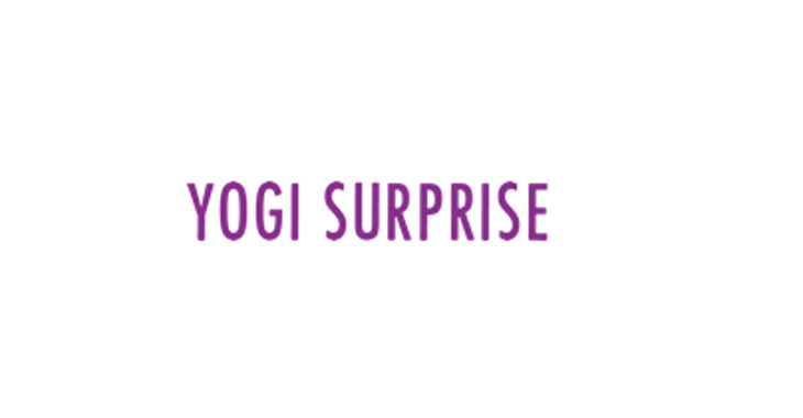 Yogi Surprise Coupon Code 2024