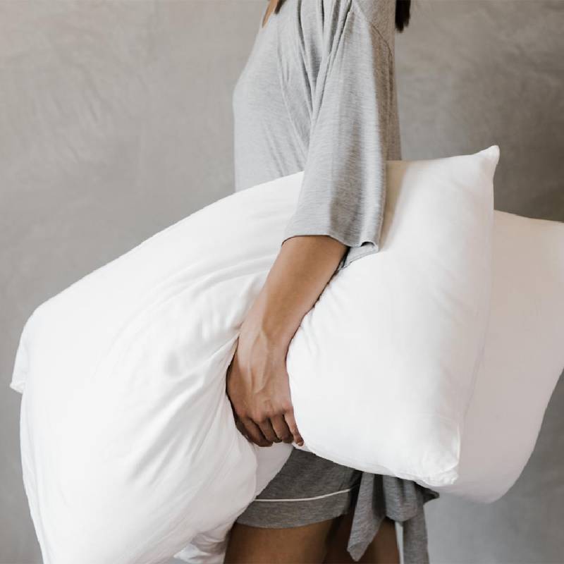 Cozy Earth Silk Pillows